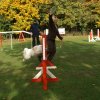agility 2011-10-30